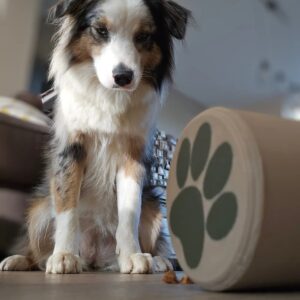 Dog or Cat Treat Roller - Image 3