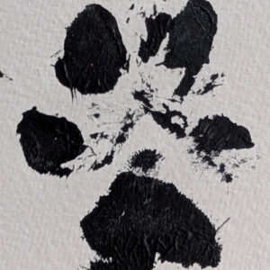 Your Pets Pawprint Key-chain - Image 2