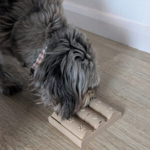 Dog & Cat Treat Enrichment Puzzle Feeder - Image 3